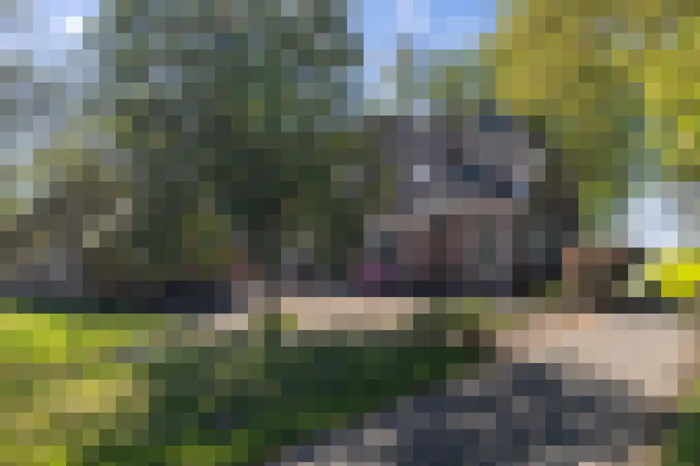 Van Goghstraat 51 Holsloot thumbnail 64