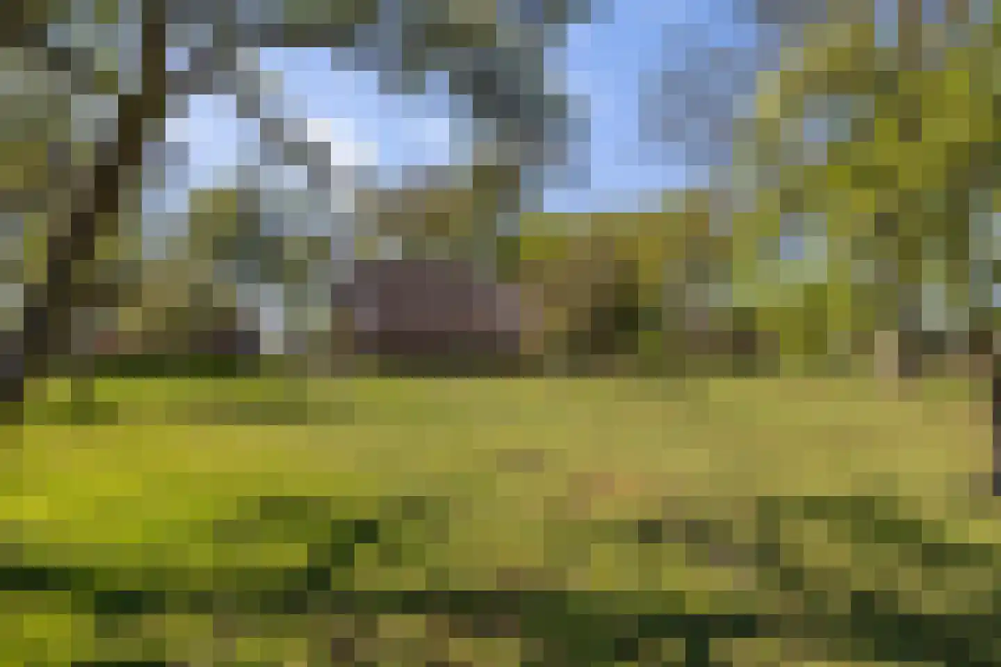 Van Goghstraat 51 Holsloot thumbnail 68