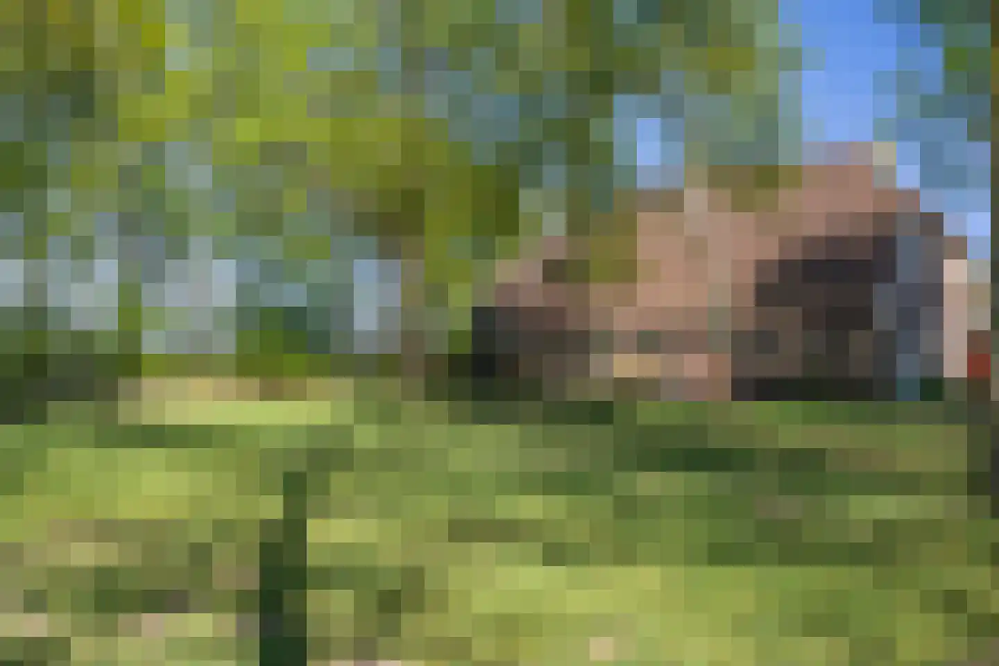 Van Goghstraat 51 Holsloot thumbnail 70