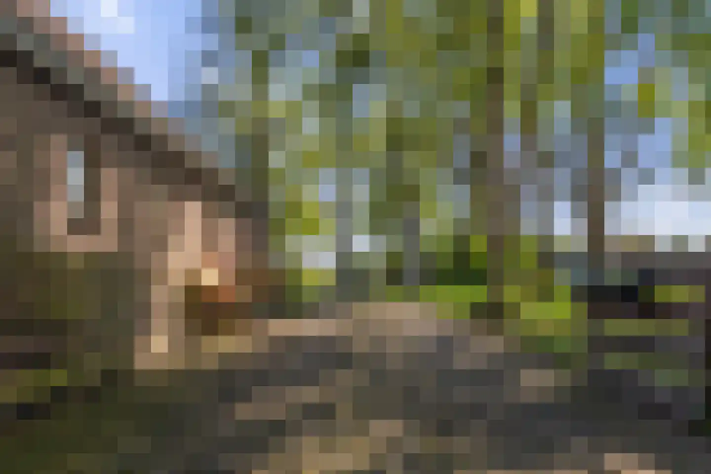 Van Goghstraat 51 Holsloot thumbnail 73