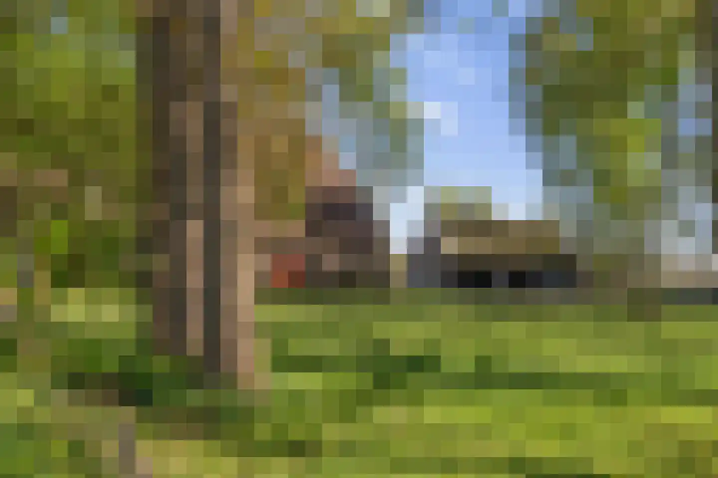 Van Goghstraat 51 Holsloot thumbnail 75