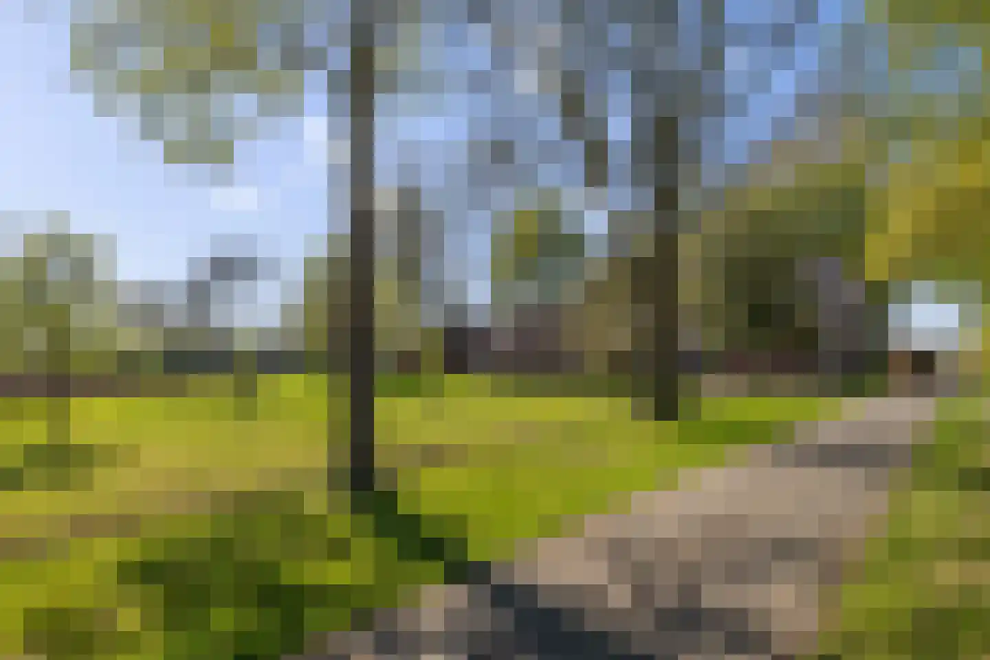Van Goghstraat 51 Holsloot thumbnail 76
