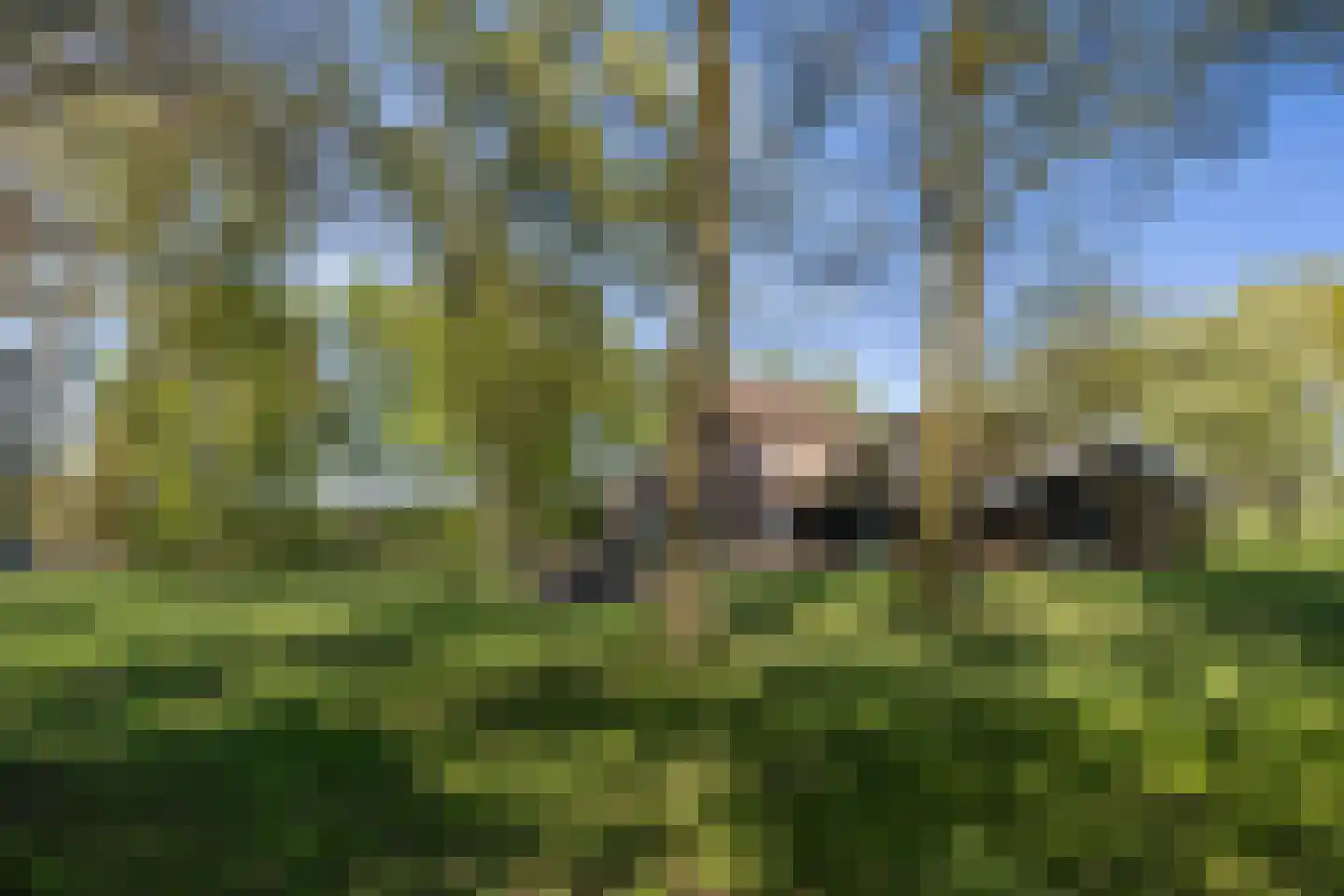Van Goghstraat 51 Holsloot thumbnail 79
