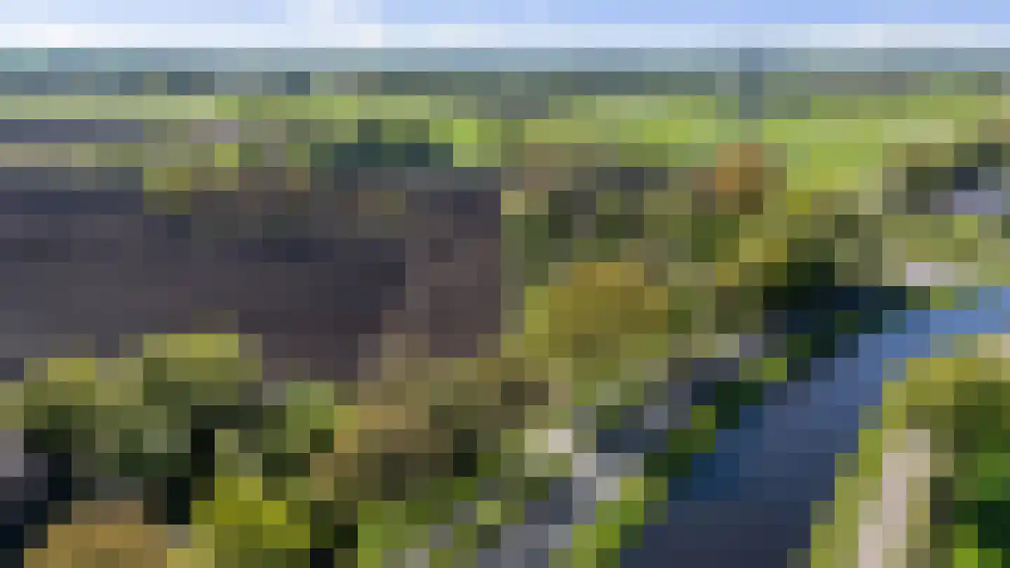 Van Goghstraat 51 Holsloot thumbnail 8