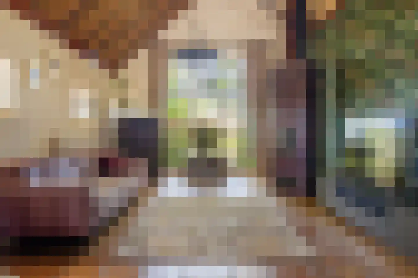 Van Goghstraat 51 Holsloot thumbnail 8