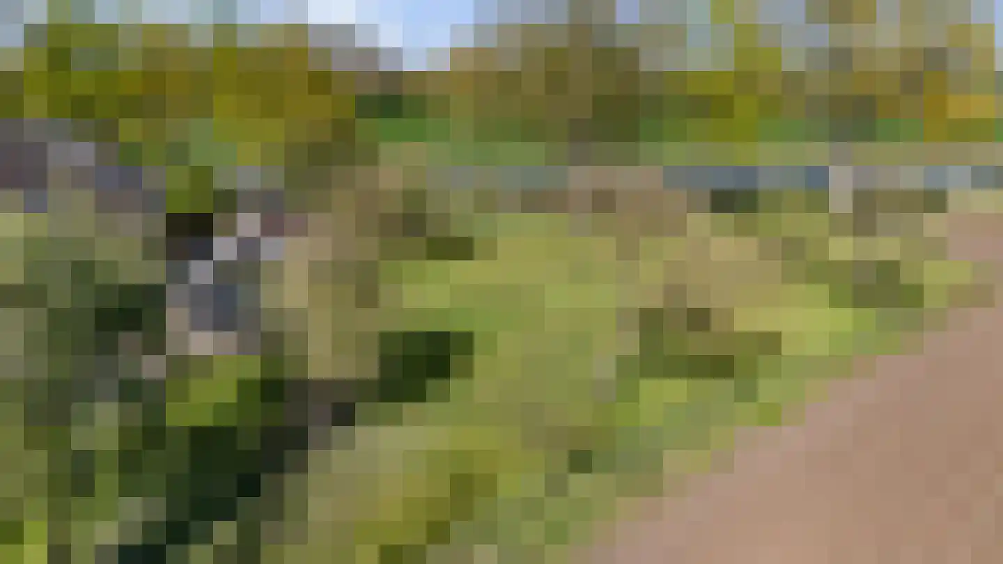 Van Goghstraat 51 Holsloot thumbnail 80