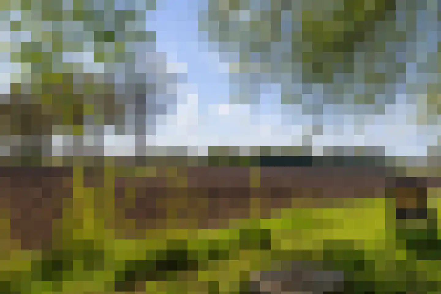 Van Goghstraat 51 Holsloot thumbnail 82