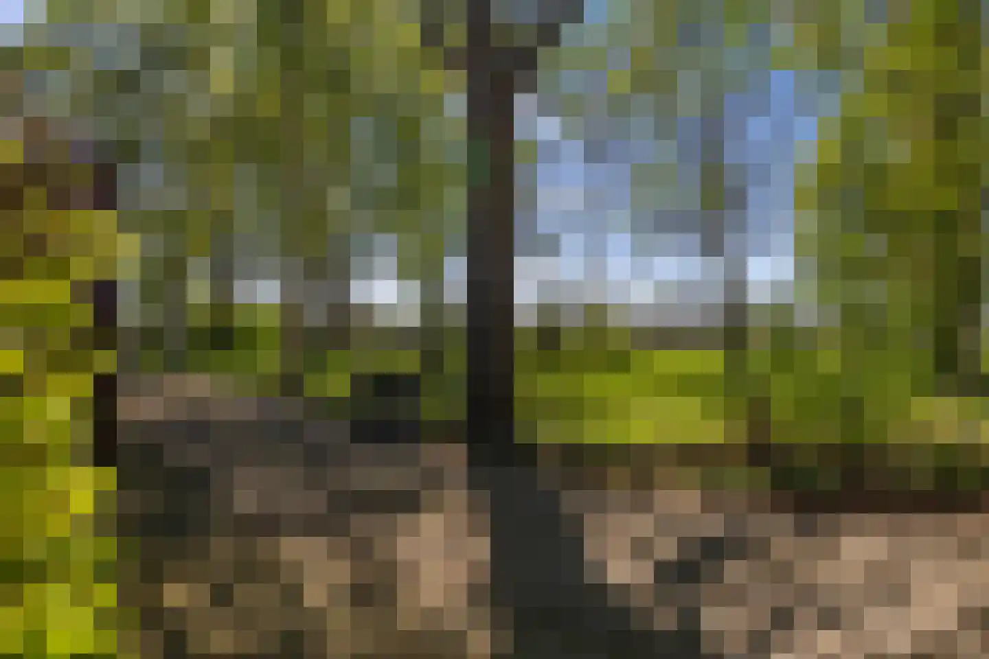 Van Goghstraat 51 Holsloot thumbnail 83