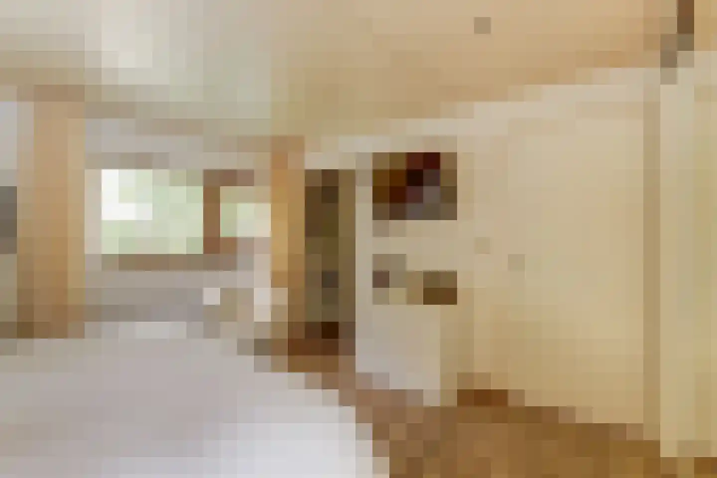 Van Goghstraat 51 Nunspeet thumbnail 17