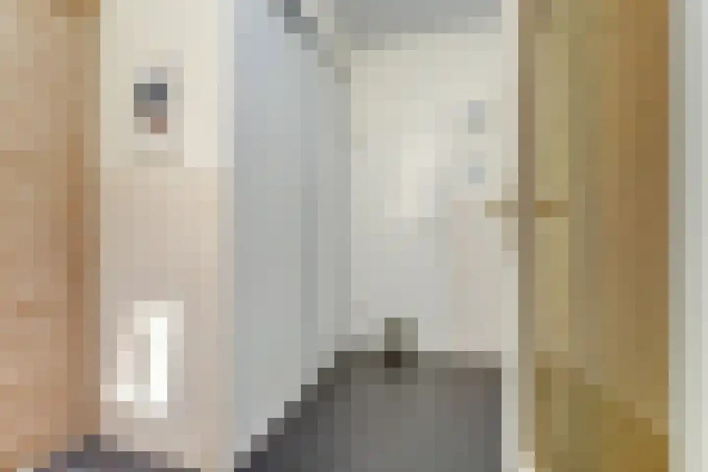 Van Goghstraat 51 Nunspeet thumbnail 28