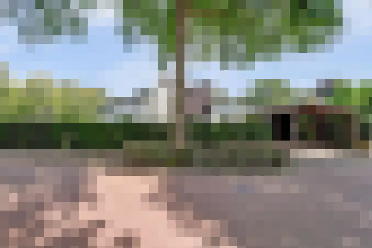 Van Goghstraat 51 Nunspeet thumbnail 38