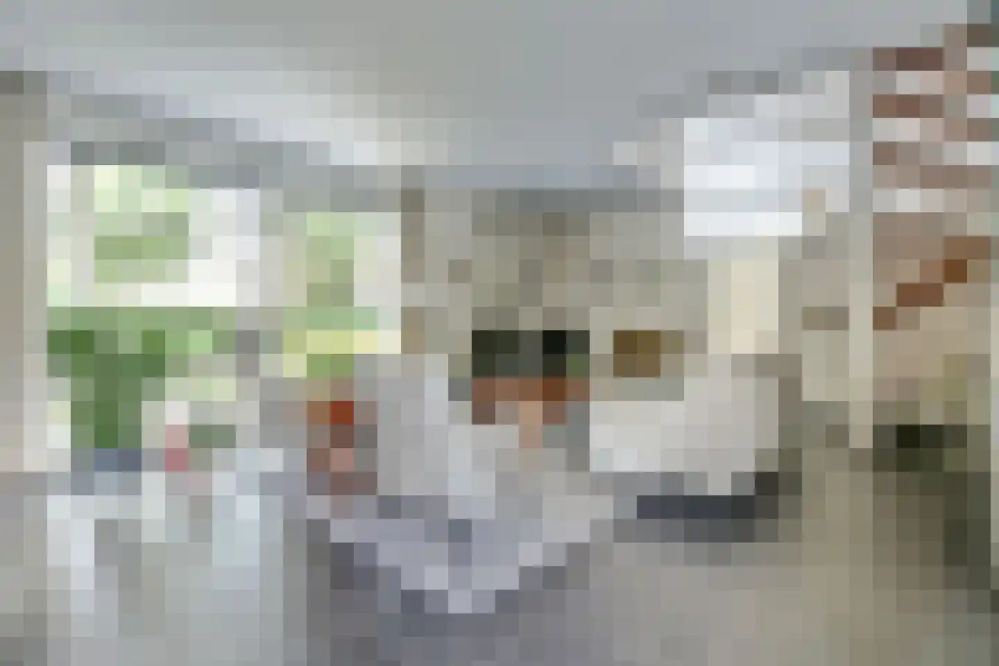 Van Goghstraat 51 Nunspeet thumbnail 4