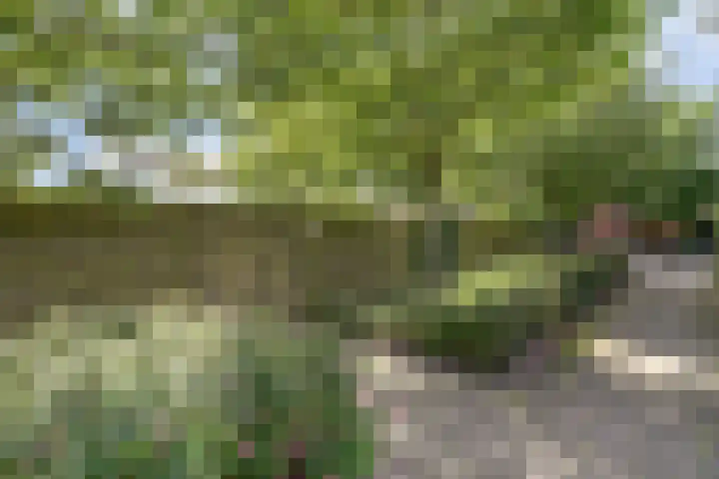 Van Goghstraat 51 Nunspeet thumbnail 43