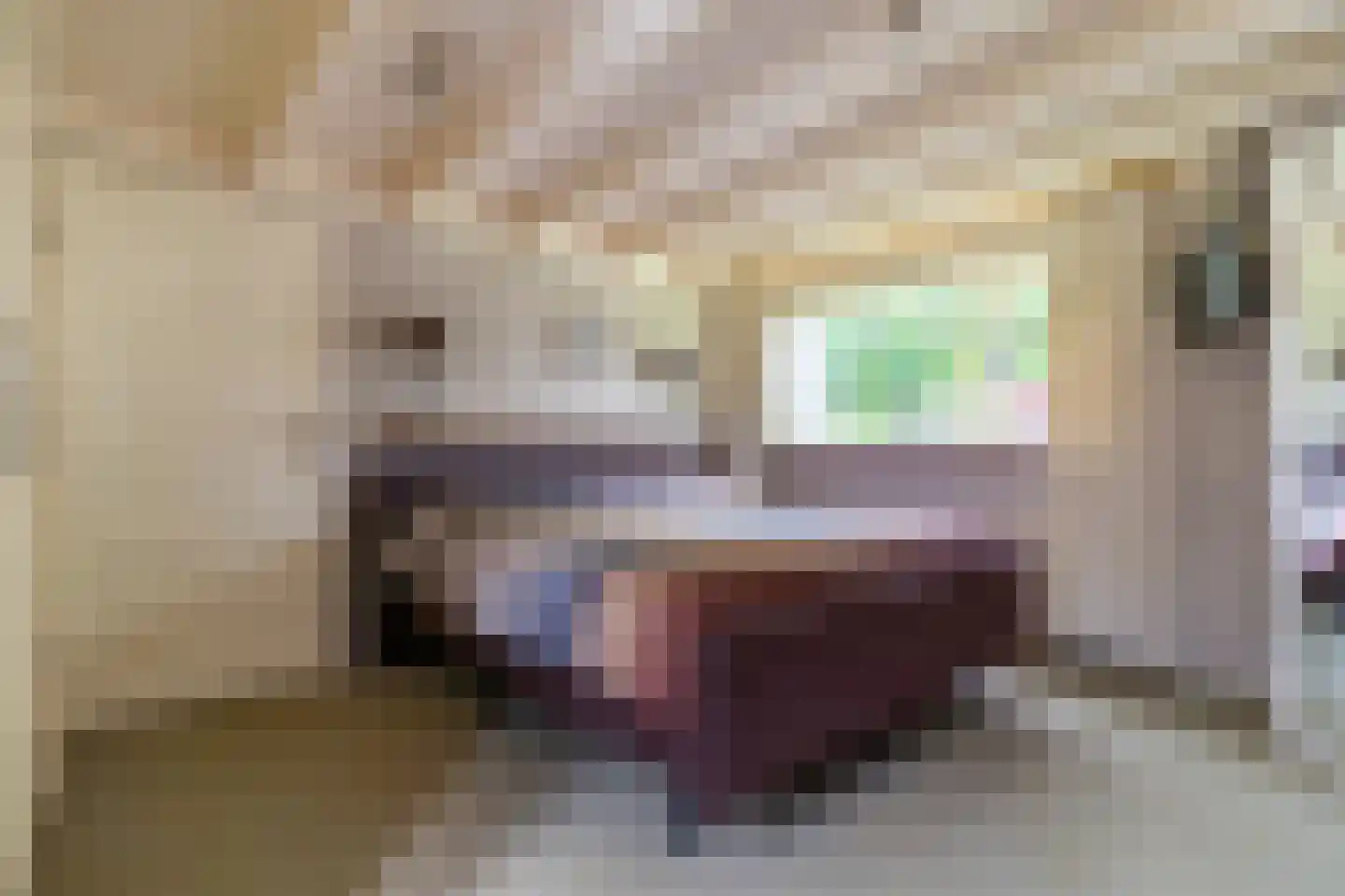 Van Goghstraat 55 Nunspeet thumbnail 18