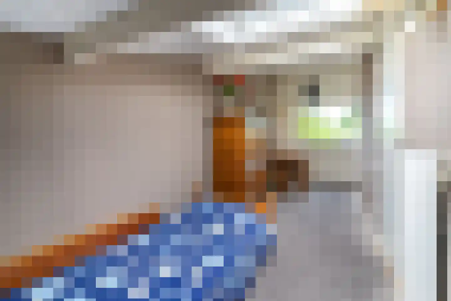 Van Goghstraat 55 Nunspeet thumbnail 27
