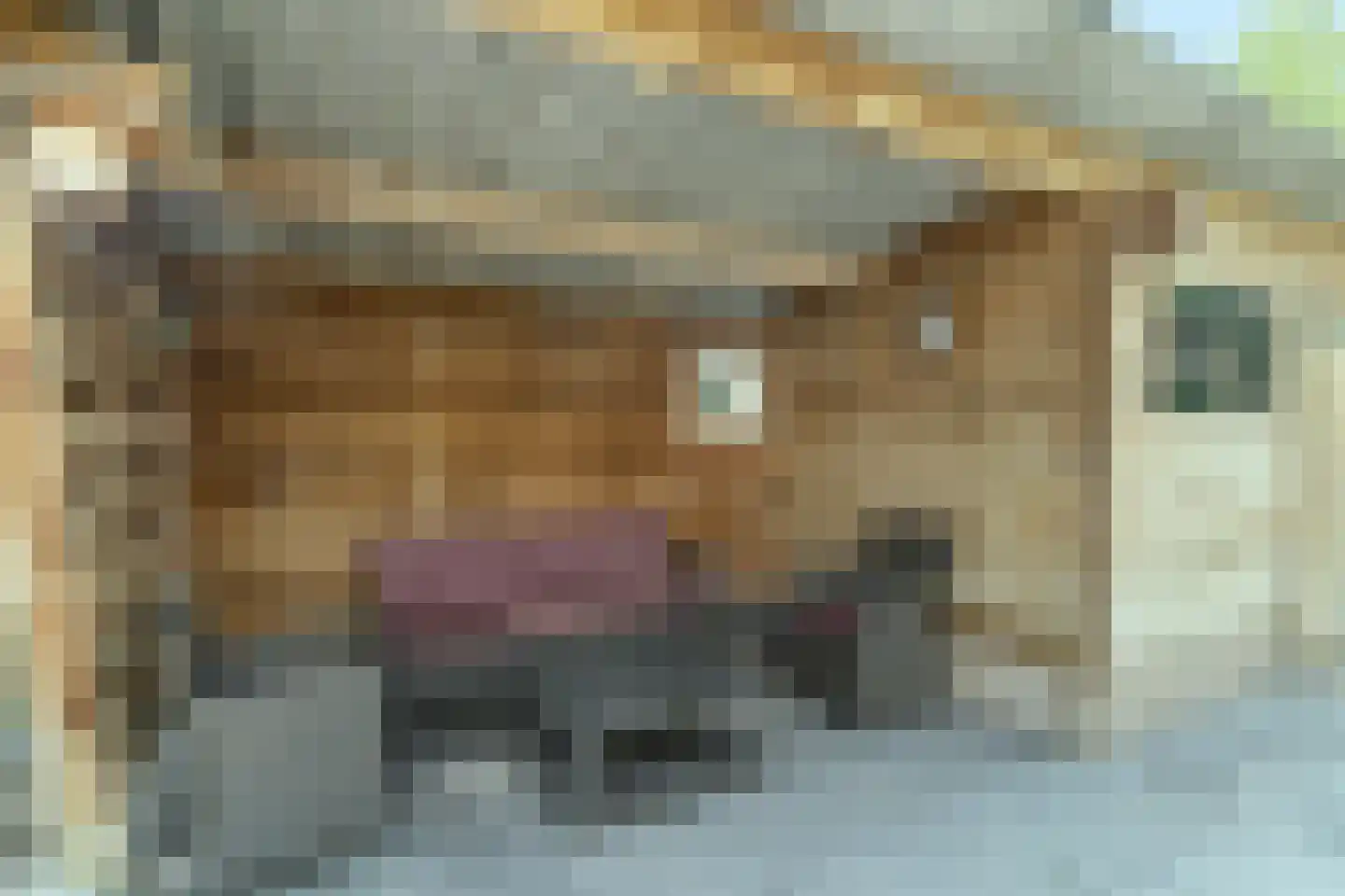 Van Goghstraat 55 Nunspeet thumbnail 33