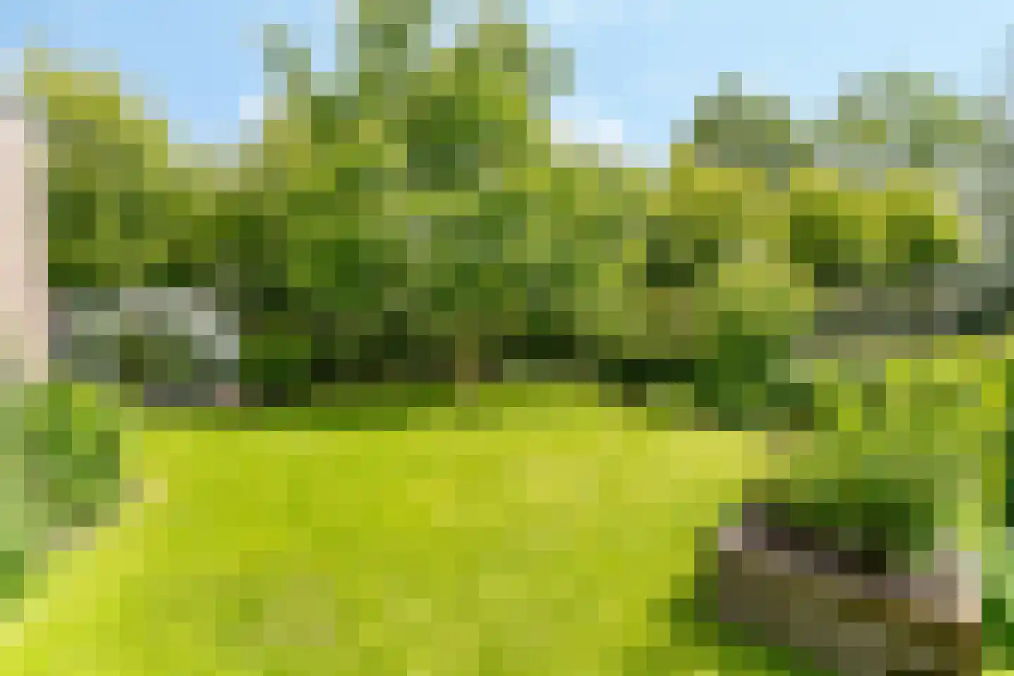 Van Goghstraat 55 Nunspeet thumbnail 39