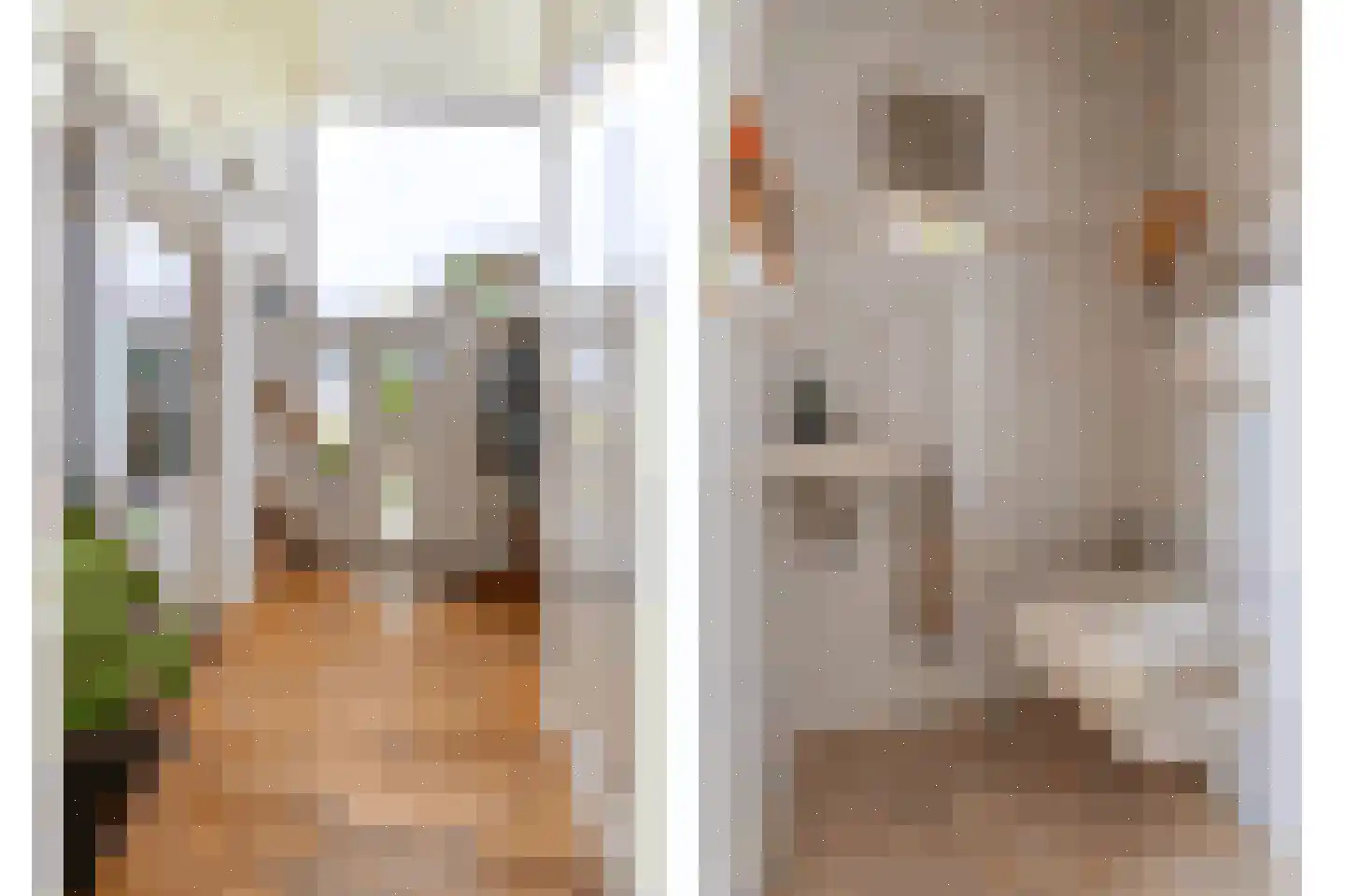 Van Goghstraat 55 Nunspeet thumbnail 9