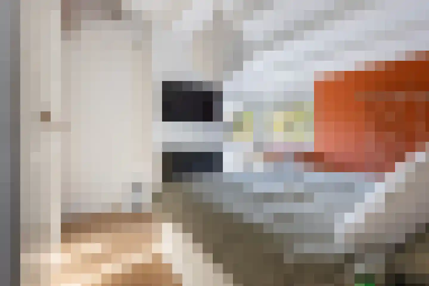 Van Goghstraat 56 Nunspeet thumbnail 24