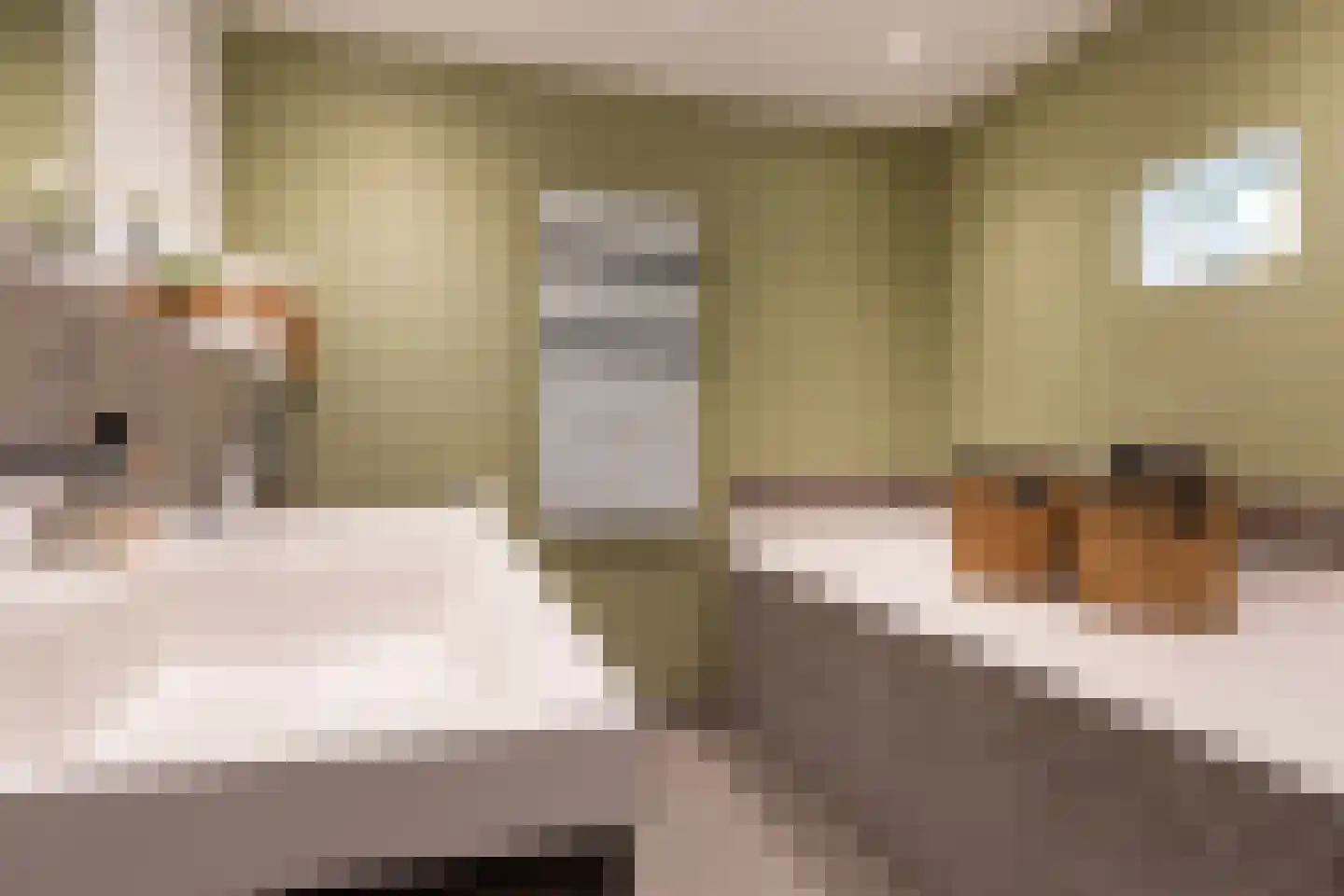 Van Goghstraat 56 Nunspeet thumbnail 27