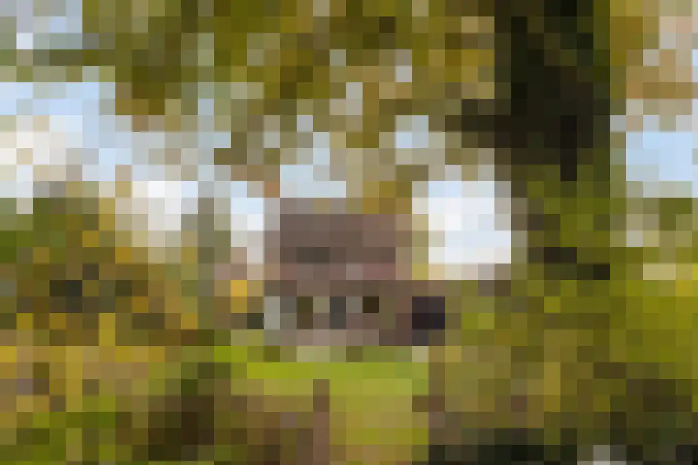 Van Goghstraat 56 Nunspeet thumbnail 38