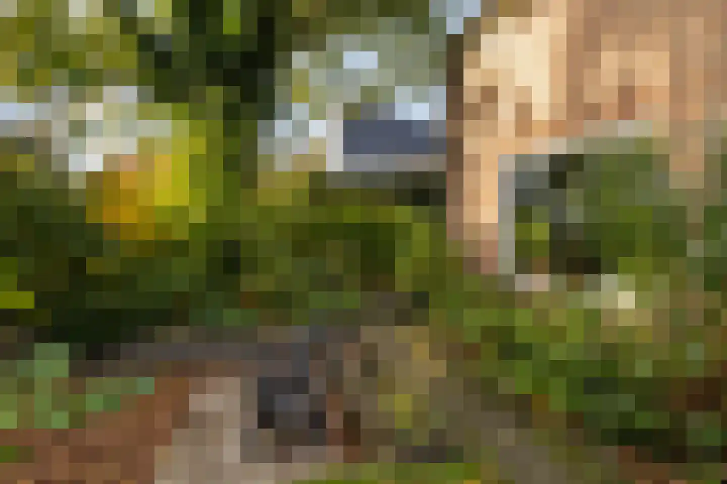 Van Goghstraat 56 Nunspeet thumbnail 4