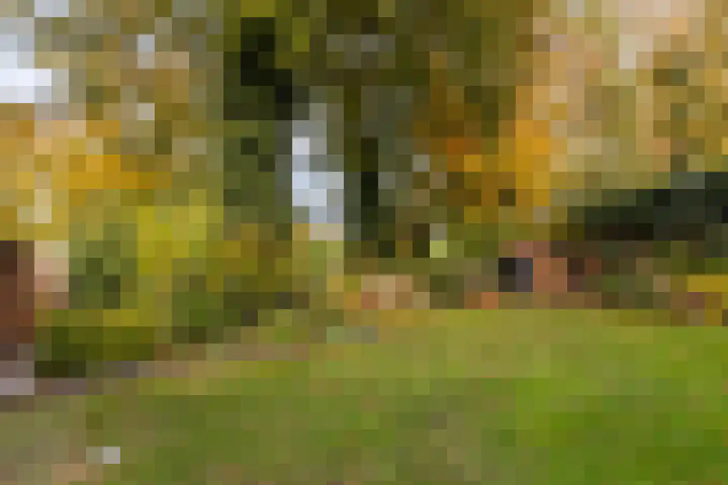 Van Goghstraat 56 Nunspeet thumbnail 42
