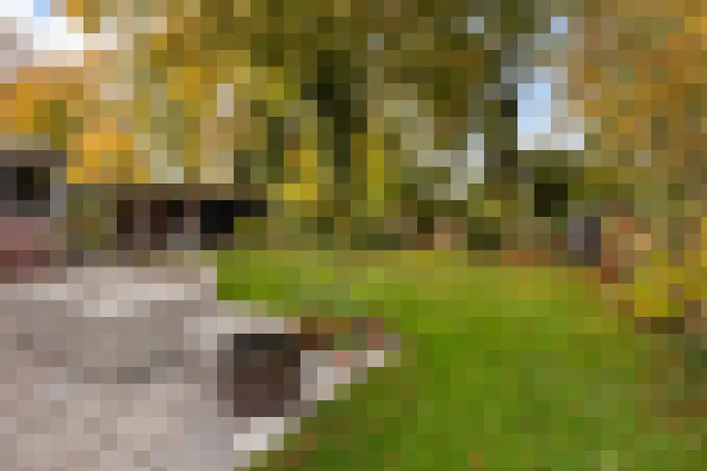 Van Goghstraat 56 Nunspeet thumbnail 44