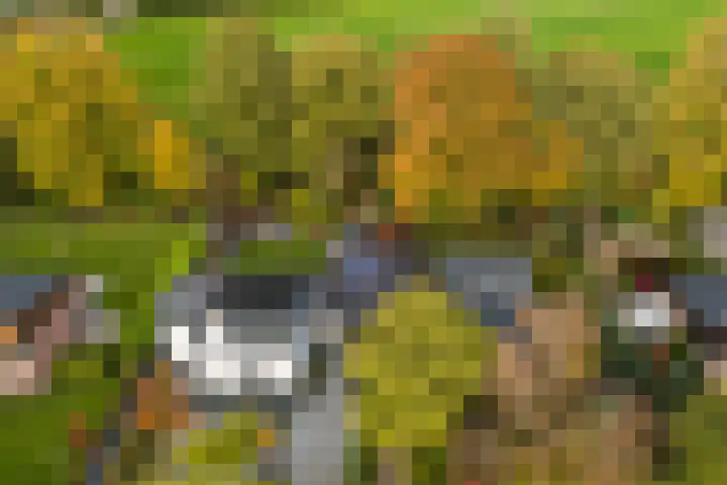 Van Goghstraat 56 Nunspeet thumbnail 48