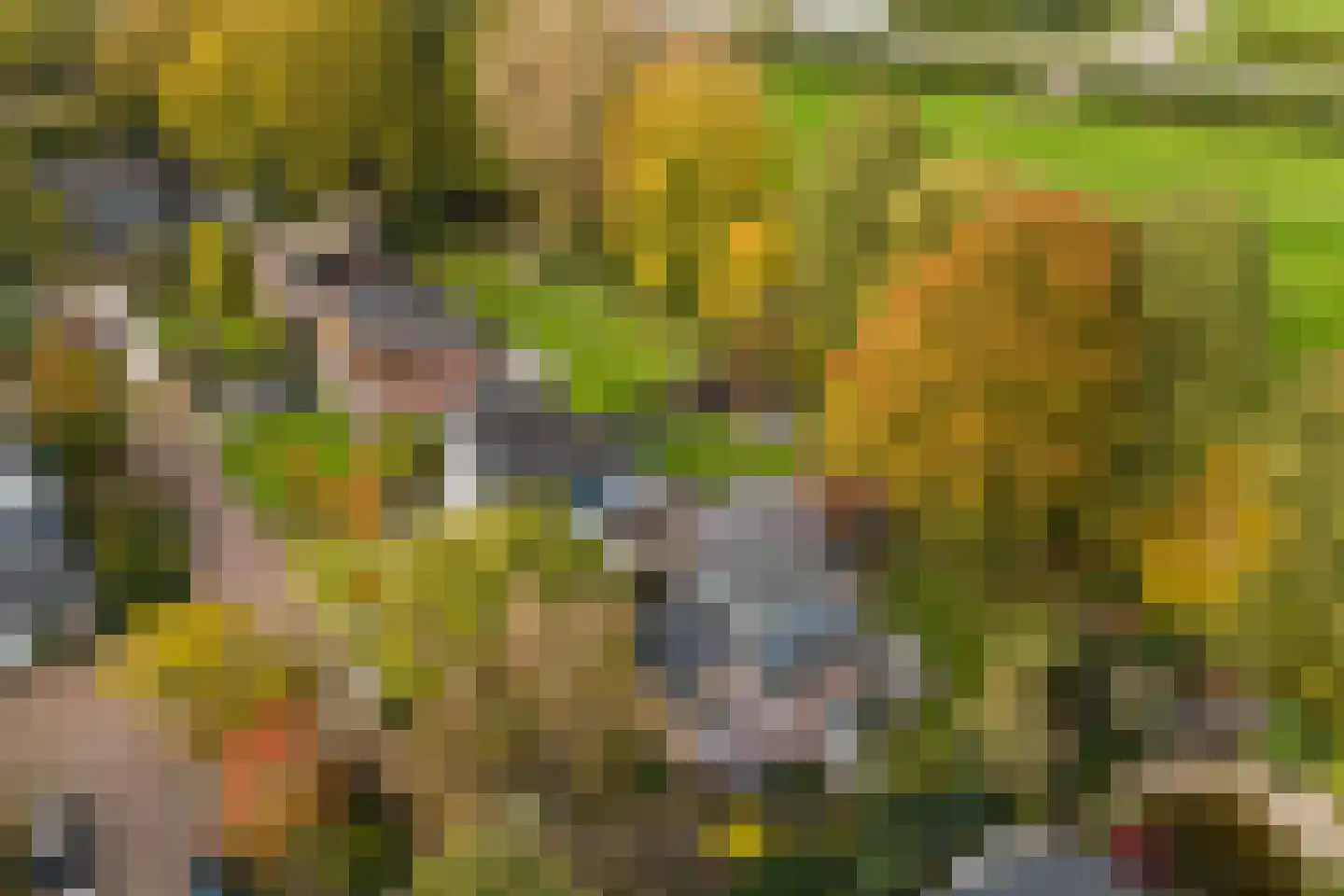 Van Goghstraat 56 Nunspeet thumbnail 49