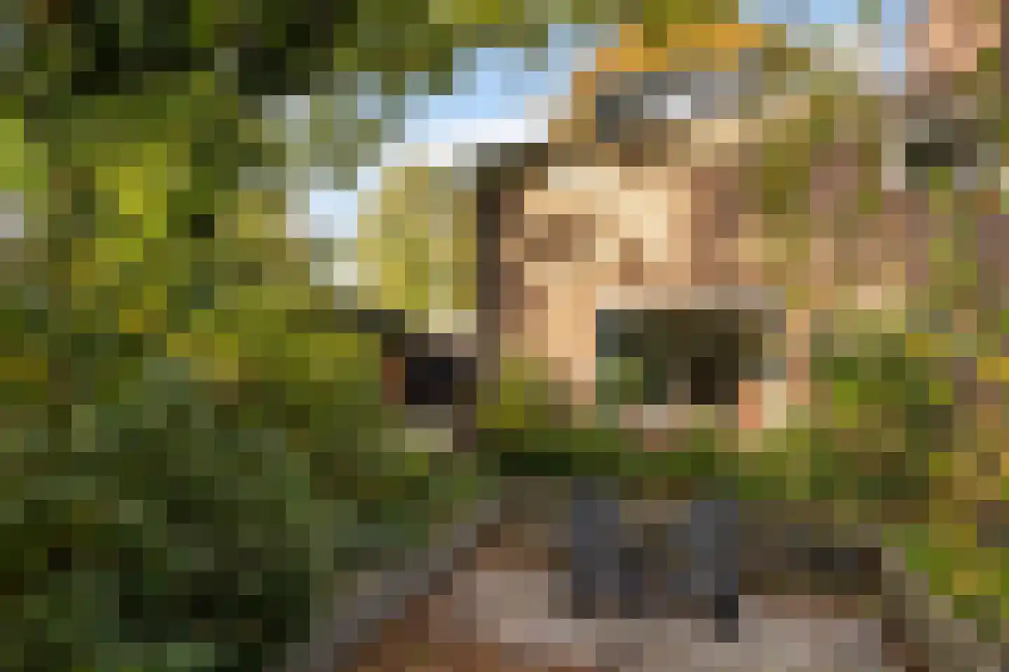 Van Goghstraat 56 Nunspeet thumbnail 5