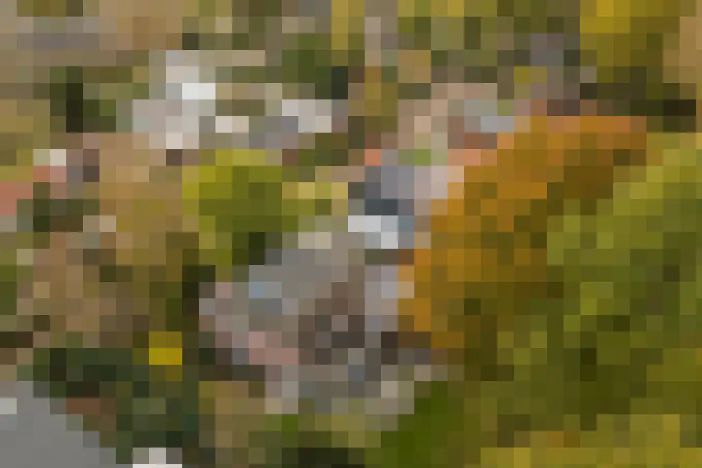 Van Goghstraat 56 Nunspeet thumbnail 50