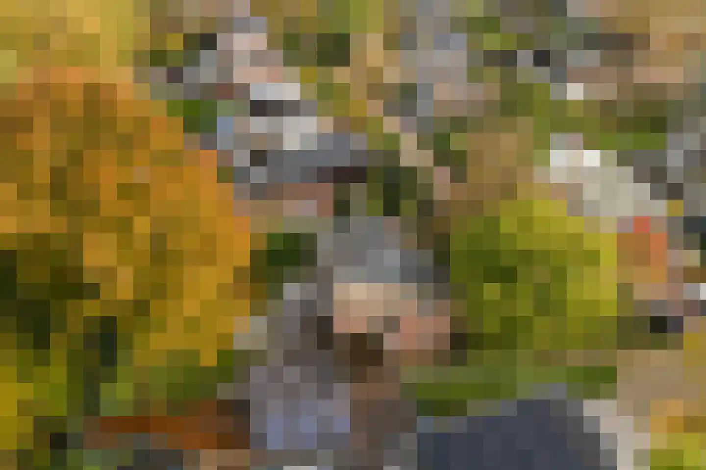 Van Goghstraat 56 Nunspeet thumbnail 51