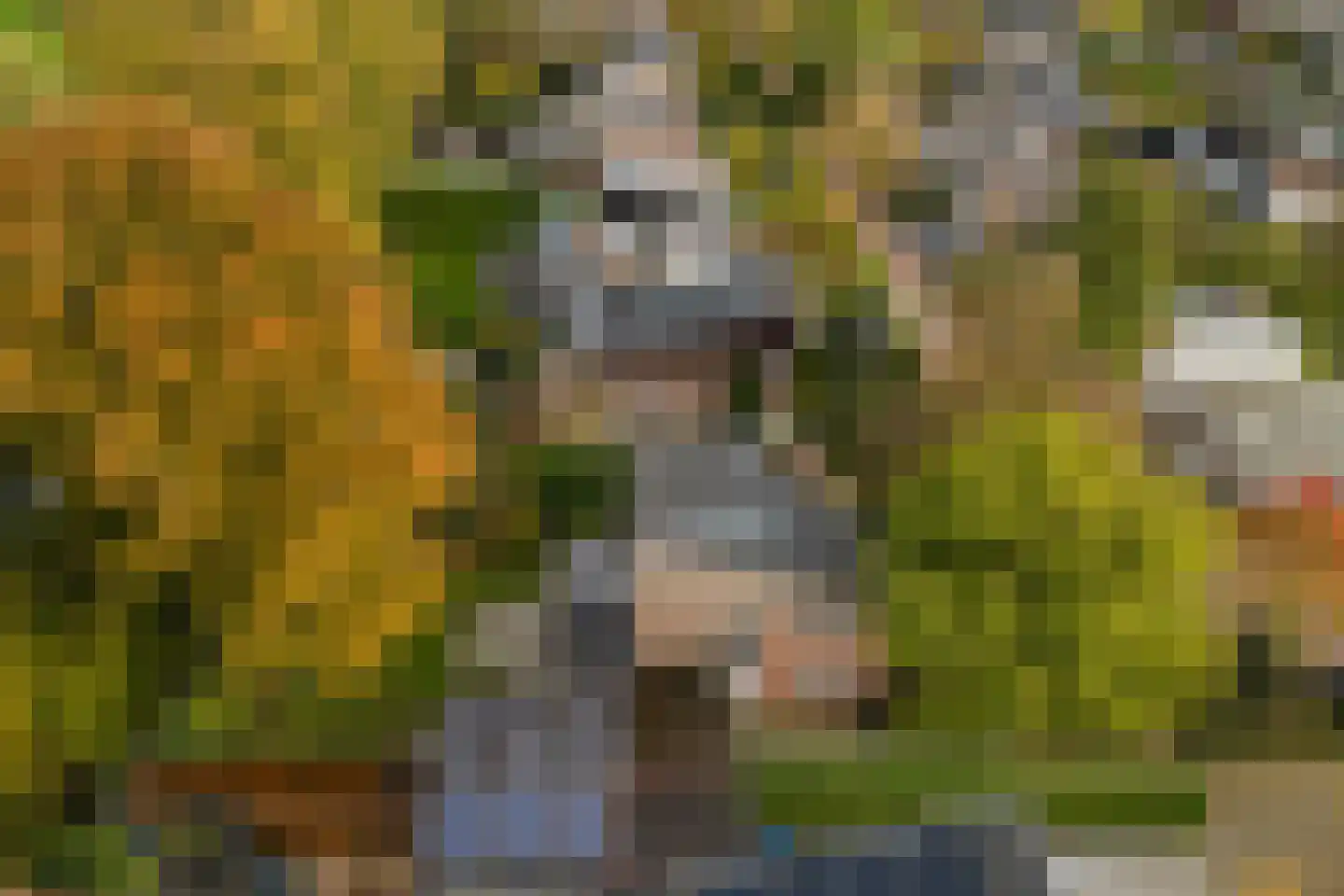 Van Goghstraat 56 Nunspeet thumbnail 52