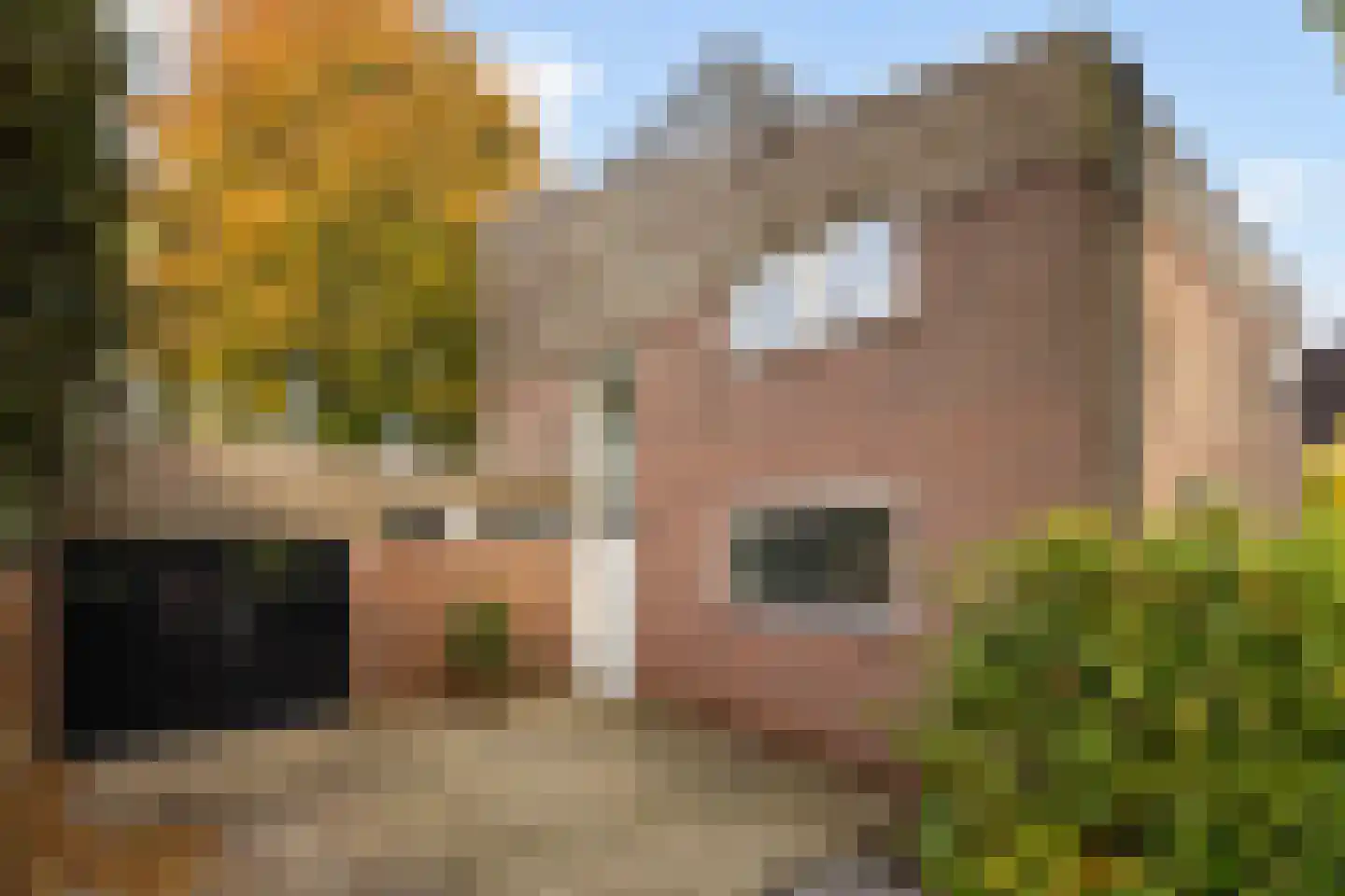 Van Goghstraat 56 Nunspeet thumbnail 6