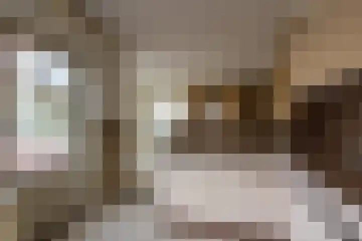 van Goghstraat 6 Sprang-Capelle thumbnail 10