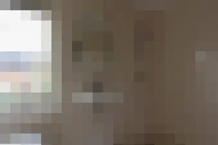 van Goghstraat 6 Sprang-Capelle thumbnail 11