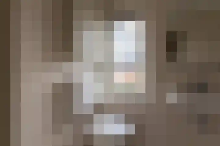 van Goghstraat 6 Sprang-Capelle thumbnail 12