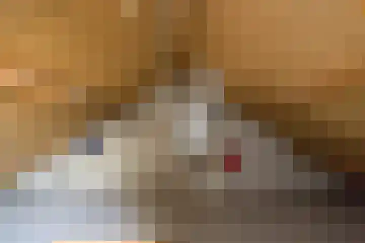 van Goghstraat 6 Sprang-Capelle thumbnail 16