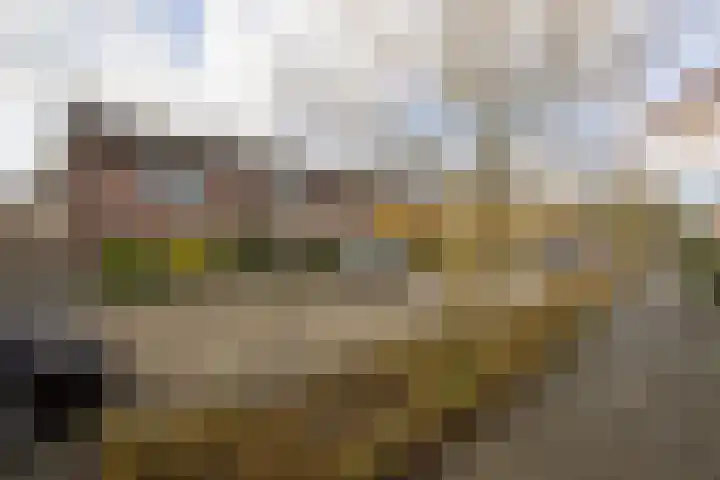 van Goghstraat 6 Sprang-Capelle thumbnail 5