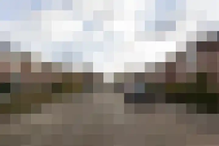 van Goghstraat 6 Sprang-Capelle thumbnail 6