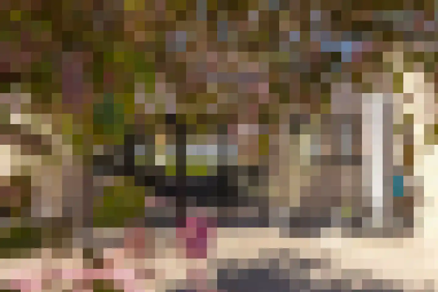 Van Goghstraat 7 Geleen thumbnail 55