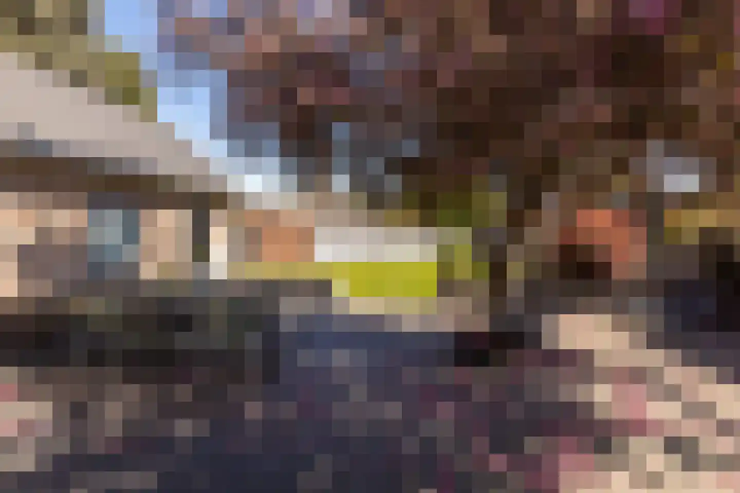 Van Goghstraat 7 Geleen thumbnail 58