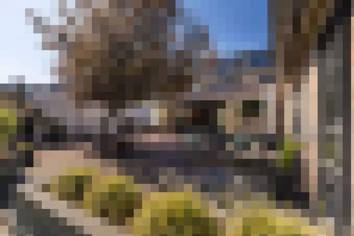 Van Goghstraat 7 Geleen thumbnail 67