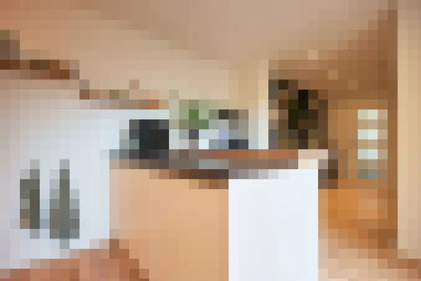 van Goghstraat 7 Horst thumbnail 17