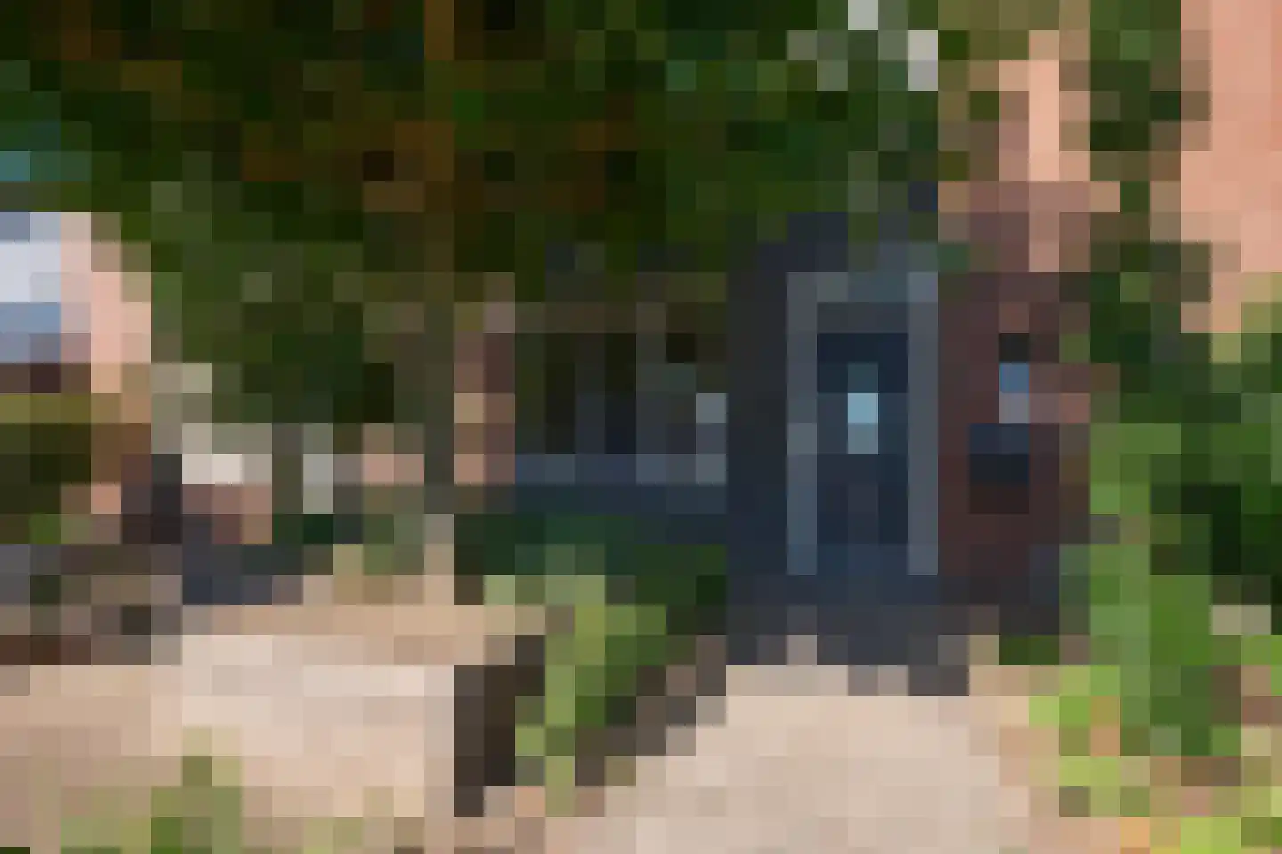 van Goghstraat 7 Horst foto 2
