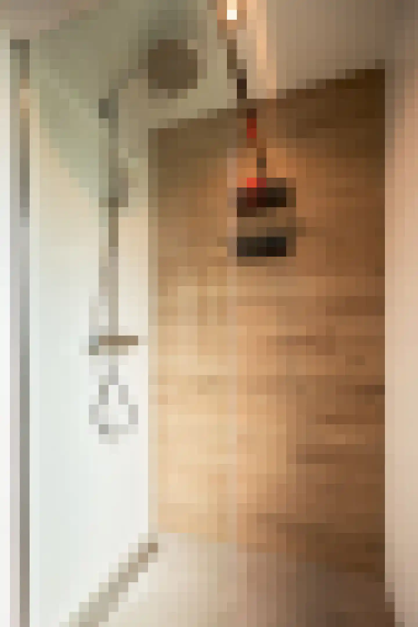van Goghstraat 7 Horst thumbnail 23