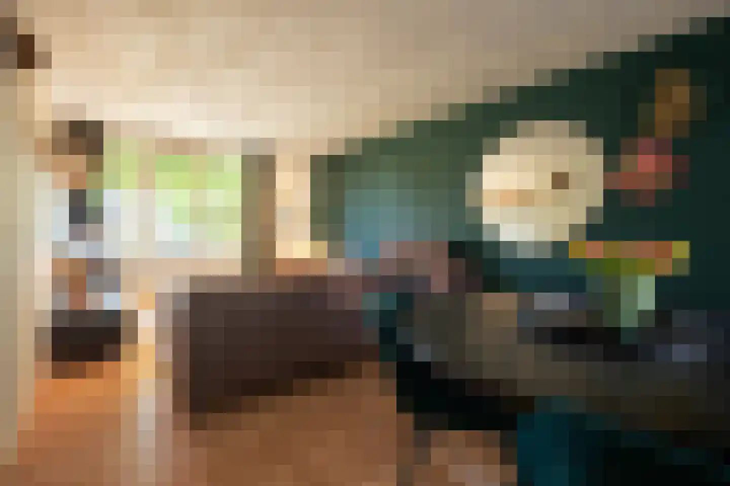 van Goghstraat 7 Horst thumbnail 4