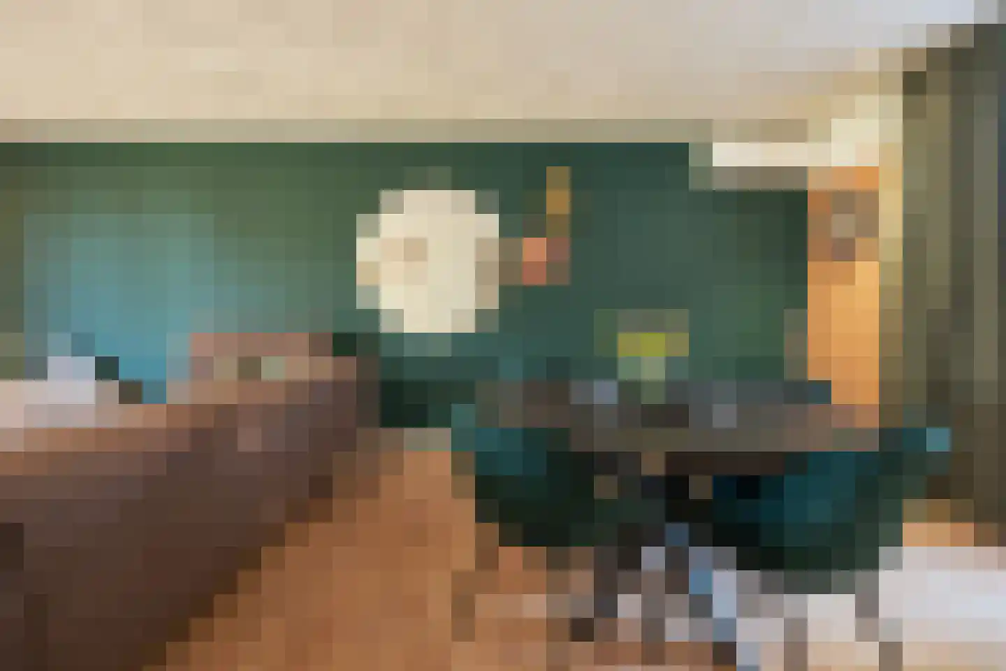 van Goghstraat 7 Horst thumbnail 8