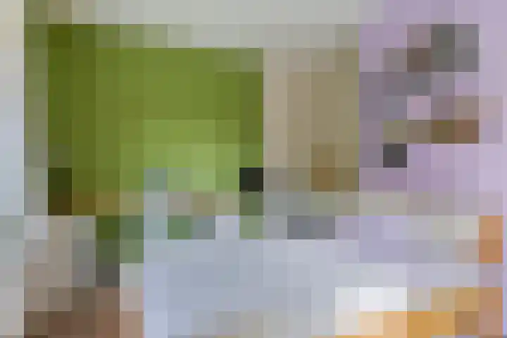 Van Goghstraat 72 Arnhem thumbnail 26